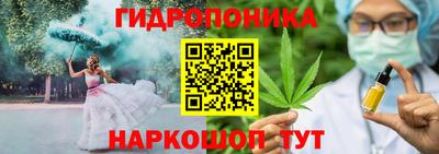 твердый Пугачёв