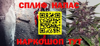 твердый Пугачёв