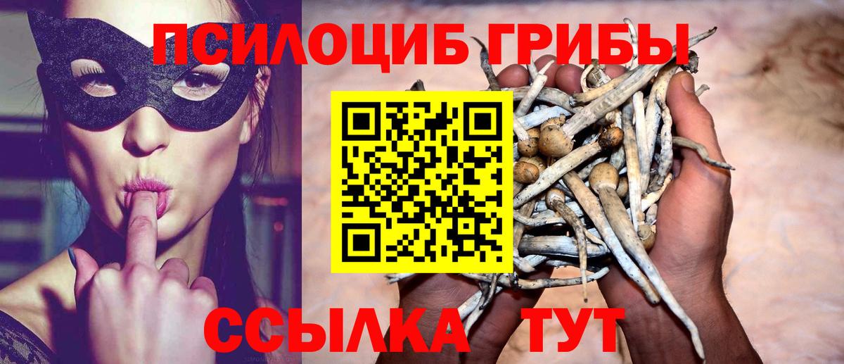 Псилоцибиновые грибы прущие грибы  Вход с VPN  Сосновый Бор 